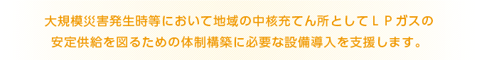 大規模災害発生時等において地域の中核充てん所としてＬＰガスの安定供給を図るための体制構築に必要な設備導入を支援します。