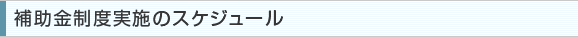 補助金制度実施のスケジュール
